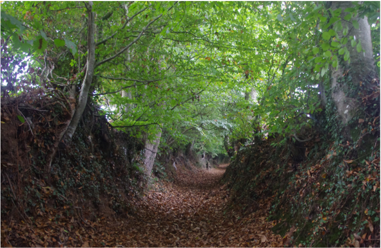 Illustration - Qui sommes nous ? - Mayenne Bois Énergie