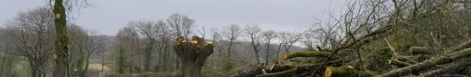 Bois adain déchiquetable Mayenne Bois