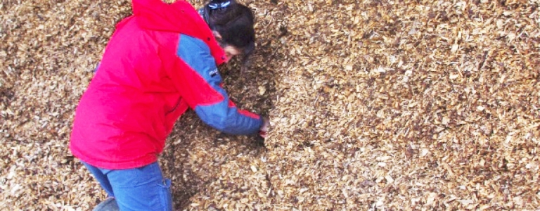 Prise d’échantillon dans un tas de bois supposé sec