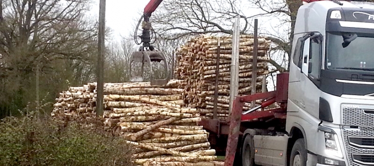 Transport-du-bois-par-grumier