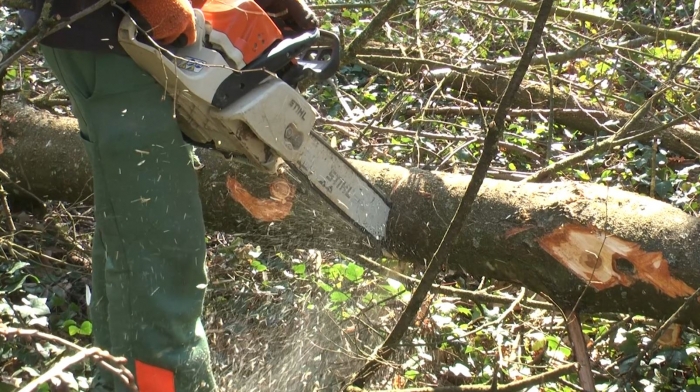 Tronçonnage-lors-d-un-chantier-d-insertion