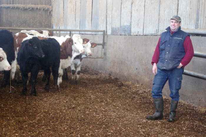 Litiere Animale Sabin