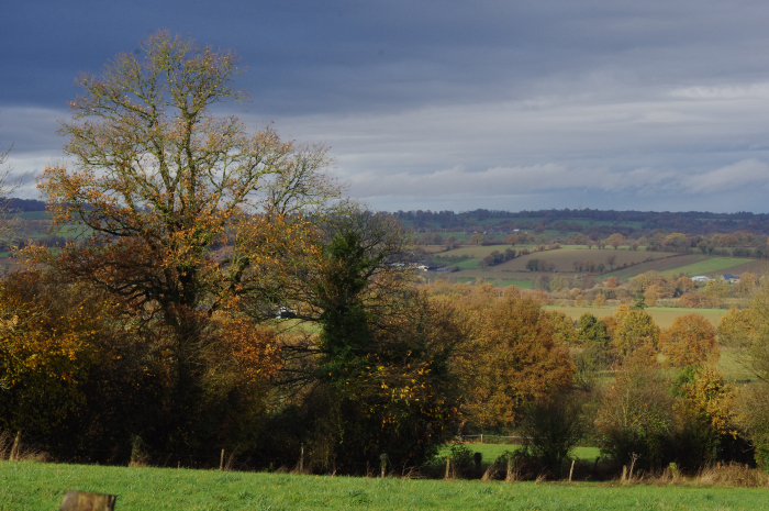 Bocage Mayennais Croixille